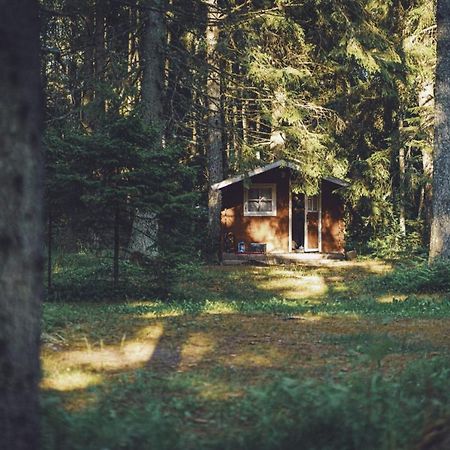Pidula Forell Екстериор снимка